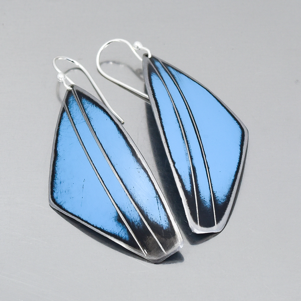 Eloise - Chevy pickup earrings featuring 72 Chevy pickup original paint with sterling silver ear wires.